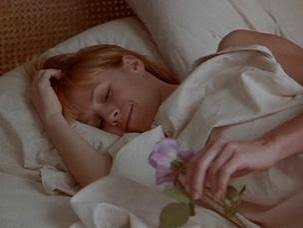 Bed of Roses