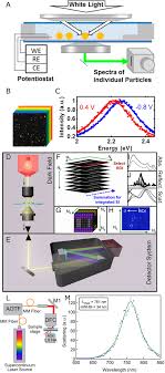 Per questa operazione abbiamo utilizzato il tasso di cambio internazionale: Single Particle Scattering Spectroscopy Fundamentals And Applications