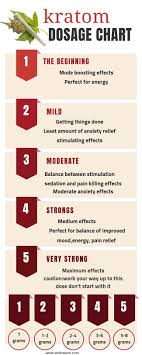 Kratom Dosage Chart How Much Kratom To Take