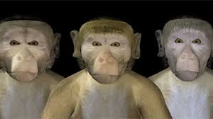 < three hundred æsop's fables(redirected from the monkey and the camel). Nnn Search