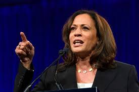Biden picks Kamala Harris as VP candidate - Catholic Herald