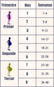 A continuación puedes conocer una tabla de conversión de meses a semanas ¡averigua en que semana te encuentras y cómo es tu bebé en estos momentos! Cuantos Meses Son 22 Semanas Febrero 2015 6 Anitos De Edad Babycenter