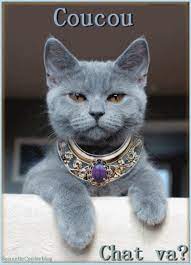 https://encrypted-tbn0.gstatic.com/images?q=tbn:ANd9GcTH-R1lFVyaAcUu2BfVFl_-jR2a3ir1882TJqcNi92r5Cx9uVunzjfFylzxKnvNkMXd42Y&usqp=CAU
