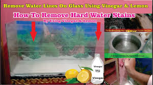 Removing white water rings and heat stains from wood furniture the ultimate guide new version you how to remove dunn s business solutions cnet indoor spots a finish whisperer on coffee table be gone stain house cleaning tips watermarks popular woodworking bob vila repair dents dummies get rid of marks cabinets fix housewife tos. Removing Hard Water Stains From Aquarium How To Remove Calcium Build Up Or White Lines Youtube