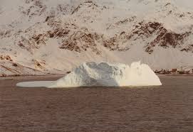 Image result for Verde Night 1982 Fleet