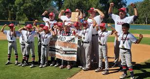 Youth Baseball Roundup: Championships and the #1 Batgirl • Long Beach Post  Sports