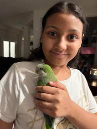 Trimming a parrot's nails safely and effectively can be challenging. What  are your experiences and tips?