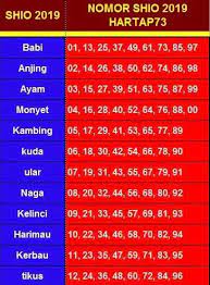 Pin Di Binatang Lucu