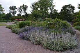 Botanischer Garten Dusseldorf