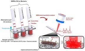 The disruption is caused by blocking acetylcholinesterase, an enzyme that normally relaxes the activity of acetylcholine, a neurotransmitter. Biosensors Free Full Text Plasmonic Sensors For Monitoring Biological And Chemical Threat Agents Html