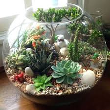 Pin On Jardin