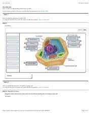 What kind of structure does an animal cell have? Mastering 3 Pdf Ch 3 The Cell 11 34 Am Ch 3 The Cell Due 11 00am On Wednesday You Will Receive No Credit For Items You Complete After The Assignment Course Hero