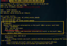 Nmap NSE script execution example