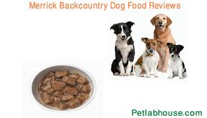 Top 5 Merrick Backcountry Dog Food Reviews Guideline