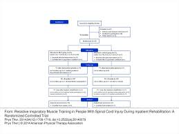 Figure 1 Consort Flow Diagram Of Study Participation From