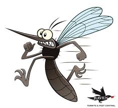 How dangerous are these termite control chemicals? Raven Termite Pest Control Contractor Alexandria Virginia Facebook 59 Photos