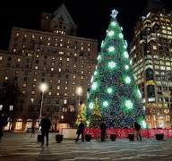 1+ Thousand Christmas Tree Modern Plaza Royalty-Free Images, Stock Photos &  Pictures | Shutterstock