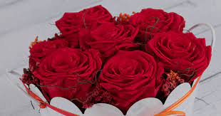 Check spelling or type a new query. How Long Do Preserved Roses Last Sense Ecuador