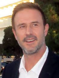 David arquette reflects on troubled marriage to courteney cox: David Arquette Wikipedia