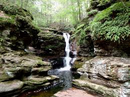 The park area was actually launched to commemorate the 14th commonwealth forest. State Parks Forests In Pennsylvania Visitpa