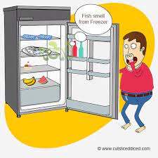 Don't toss it out just yet. How To Remove Fish Smell From Freezer Magically 2020 Guide