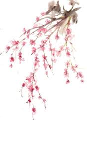 花草 水墨 来自墨玉殊的图片分享 堆糖 chinese art china art flower drawing