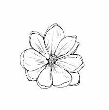 Zinnia Flower Drawing Tropical Zinnia Flower Blossom Botanical Flower Outline Tattoo Simple Flower Drawing Flower Drawing