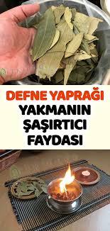Defne Yapragi Yakmanin Sasirtici Faydalari Health And Nutrition Nutrition Best Foods