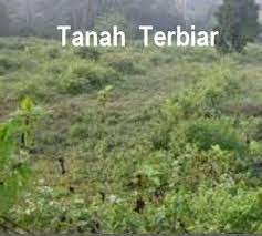 Terdiri dari jagung, kedelai, kacang tanah, kacang hijau, ubi kayu, dan ubi jalar. Ladang Yang Tidak Diusahakan Di Malaysia Usahakan Tanah Tidak Diusahakan Bersama Felcra Bung Pelabuhan Yang Tidak Diusahakan Adalah Pelabuhan Laut Yang Dikelola Oleh Unit Pelaksana Teknis Kepelabuhanan Kanwil