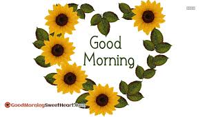 In the morning, you can send a morning image from here and bring a smile on his face. Good Morning Sunflower Images