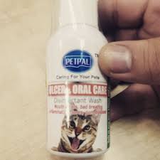 Lagi tidur dikasih peju crot di mulut. Ubat Ulser Mulut Kucing Pet Pal Ulser 45ml Shopee Malaysia
