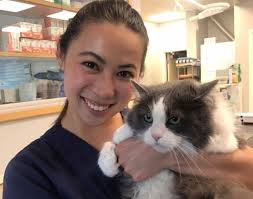 All the staff at salem park. Welcome To The New England Veterinary Clinic Pet Resort