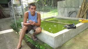 Our own rate is currently 8 percent, but our goal is. Organic Farming In The Philippines Reality Tv Episode 17 Fishy Beef Cake Youtube