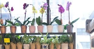 Maybe you would like to learn more about one of these? A Look Inside Whole Foods Market Daily Shop