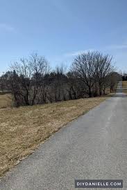 We did not find results for: How To Clear Land A Beginner S Guide To Clearing Property Diy Danielle