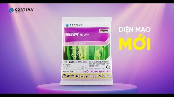 Beam® 75WP