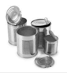 Avalon Advanced Materials Tin