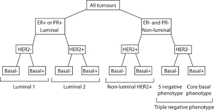 Meridian Disharmony Patterns In Breast Cancer Patients E