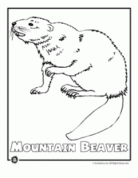 Endangered Animals Coloring Pages Animals From North America The Rainforest The Ocean Woo Jr Kids Activities North American Animals Endangered Animals American Animals