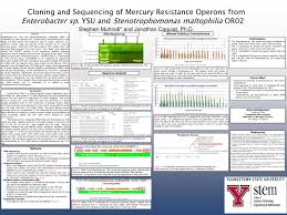 Tubidy has a decent google pagerank and bad results in terms of yandex topical citation index. Pdf Cloning And Sequencing Of The Mercury Resistance Operons From The Enterobacter Sp Ysu And Stenotrophomonas Maltophilia Or02