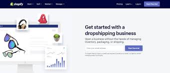 Our first case study comes from malaysian entrepreneur tze hing chan, who ran the shopify dropshipping store subtle asian treats. Top 12 Best Dropshipping Websites In 2021 Avada Commerce