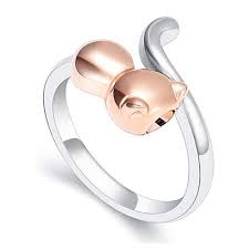 Maybe you would like to learn more about one of these? K001 Cremation Jewelry Ring For Ashes Adjustable Cute Cat Urn Rings For Pet Ashes Cremation Urn Keepsake Memorial Ring For Women Rings Aliexpress