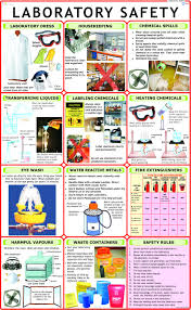 Laboratory Safety Chart Wall Chart 2014 By Laboratory