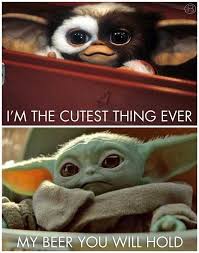 Imgur Post Imgur Animal Funny Captions Animal Funny Humor Animal Funny Memes Baby Animal Funny Imgur Funny Star Wars Memes Yoda Funny Star Wars Humor