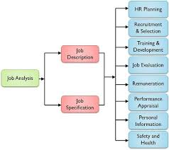 While the job description describes activities to be done, it is job specifications that list the knowledge, skills. Difference Between Job Analysis And Job Description With Comparison Chart Key Differences