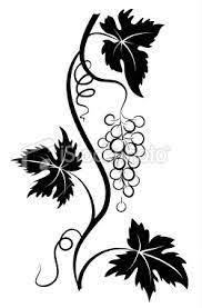 The desire for prosperity, fertility and beauty in life. Grapevine Tattoo Grape Drawing Vine Drawing Grape Vines