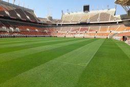 Can Kaizer Chiefs Stay Grounded Ahead of Soweto Derby Clash?