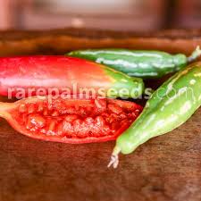 Image result for Coccinia