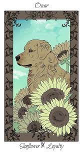 Category Images Of The Shadowhunter Flower Cards The Shadowhunters Wiki Fandom Chain Of Gold Shadowhunters Fanart Book Fanart