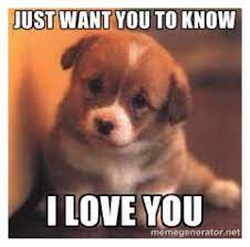 Pin On Cute